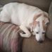 Jim Ranallo - Facebook