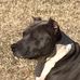 James Rauh - Facebook