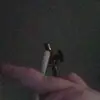 James Ray - @jamesray424 - TikTok