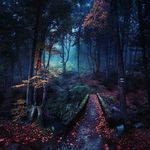 james reck - @jamesrecke - Instagram