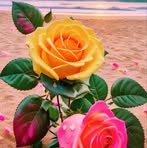 James Redd - Facebook