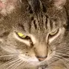 james322128 - @jamesredding322128 - TikTok