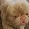 jamesredding2288 - @jamesredding2288 - TikTok