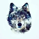 James redfearn - @jamez_red_nz - Instagram