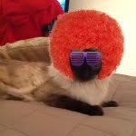 Finn James Redhead - @finn_is_living - Instagram