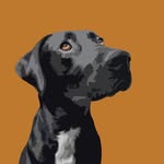 James Redhead - @jredheaddesign - Instagram