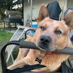 Redington James - @redingtonjames - Instagram