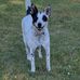 Clifford James Reffitt - Facebook