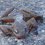 @jamesrelf1514 - Instagram
