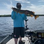 Mike Marenda - @michaeljamesmarenda - Instagram