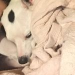 James - @jimjam5312 - Instagram