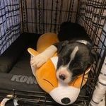 James Rennick - @james.r3nn - Instagram