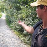 James Renwick - @jamesinnature - Instagram