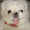 James Renzo - @jamesrenzo77 - TikTok