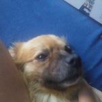 jamesresler - @ninja_wolf_897 - Instagram