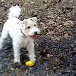 James Respress - @james.respress.9 - Instagram