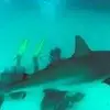 jamesrheaume582 - @jamesrheaume582 - TikTok