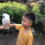 James Rhyan Viray - @jamesrhyanviray - Instagram