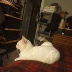 James Richer - @jricher8484 - Instagram