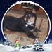 James Rickabaugh - Facebook