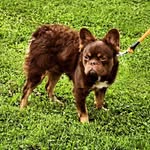 James P Ricks - @silk_st_bullies - Instagram