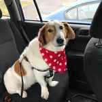 James Ricks - @ricks548 - Instagram