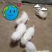 James Ridgell - Facebook