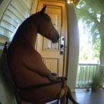 GRIFFIN JAMES - @_griffin_james_ - Instagram