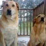 James Rigelman - @jamesrigelman - Instagram
