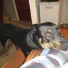 James Riggin rigginstein - @james.riggin.rigg - TikTok