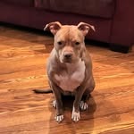 James Riggins - @james.riggins.14418 - Instagram