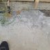 James Right - Facebook