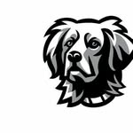 Jamesright pet - @jamesrightpet - Instagram