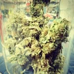 James Rimbey - @rimbeyjames - Instagram