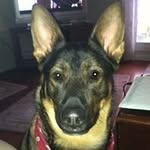 James Rines - @rinesjames - Instagram