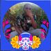 James Ringa Mbaru - Facebook