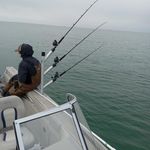 James Ringle - @j.ringle3609 - Instagram