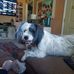 James Ringley - Facebook
