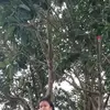 James Rit Entala - @james.rit.entala5 - TikTok