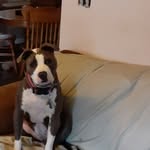 James Risley - @james.risley.9235 - Instagram
