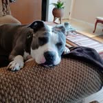 James Risley - @risley253 - Instagram