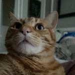 James Risner - @flyntcoal93 - Instagram