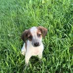 James Rispoli - Facebook