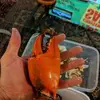 jamesrivett223 - @jamesrivett223 - TikTok