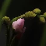 𝙹𝚊𝚖𝚎𝚜 𝚁𝚘𝚋 - @nothing_in_focus - Instagram