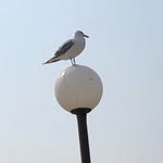 James Rockey - @rockeytours - Instagram