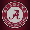James Roe - @james.roe5 - TikTok