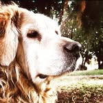 James Rojo - @jaimeeduardorojo - Instagram