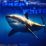 James Rolls - @jamesrolls71 - Instagram