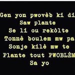 James Rolls Dieujuste - @james.dieujuste - Instagram